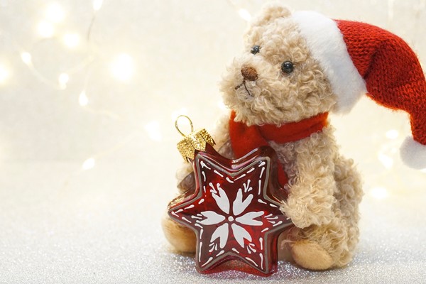 Christmas Drive